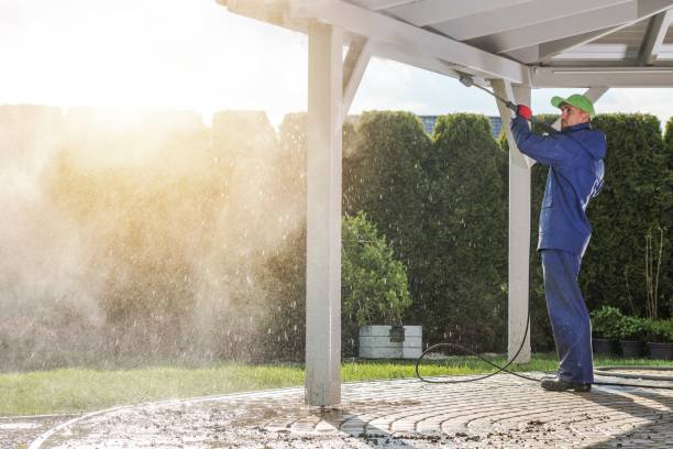 Best Pool Deck Cleaning  in Holly Springs, MS