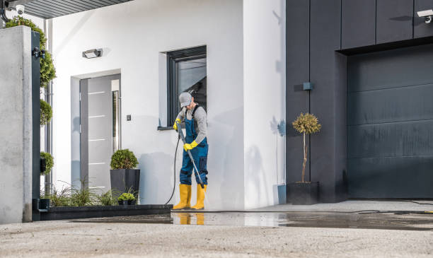 Best Dumpster Area Cleaning  in Holly Springs, MS